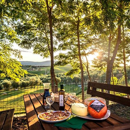 Agriturismo Il Sambuco Siena Exteriér fotografie
