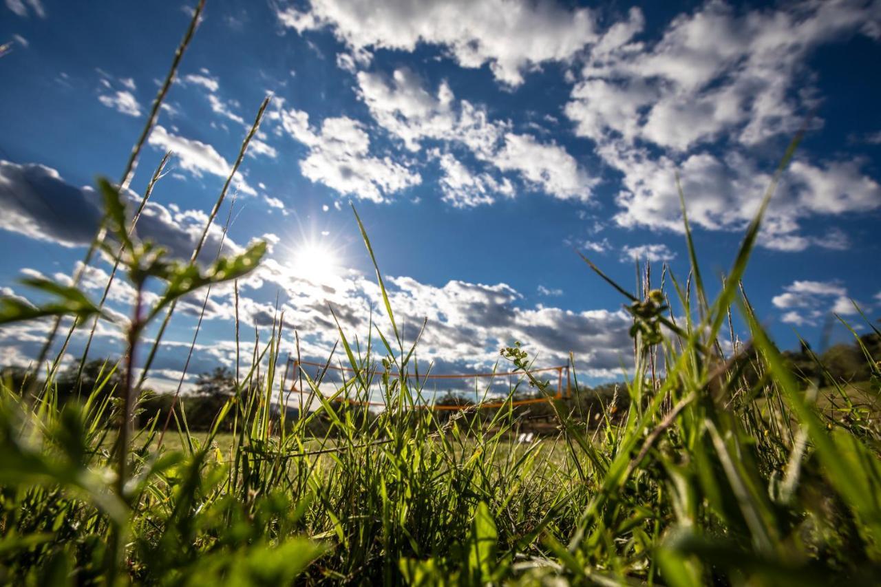 Agriturismo Il Sambuco Siena Exteriér fotografie