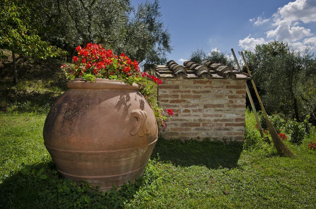 Agriturismo Il Sambuco Siena Exteriér fotografie
